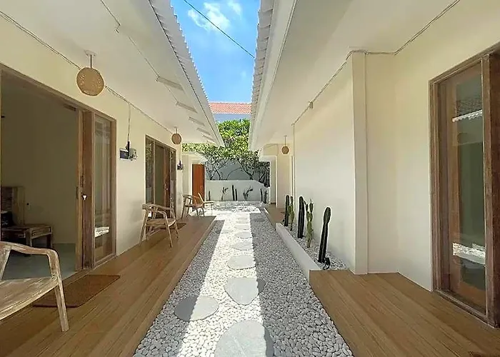 Kiwi 2*